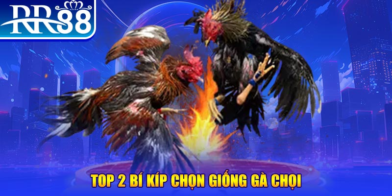 ji88 đăng nhập poker số 1