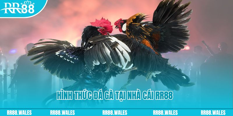 ji88 xin 1 slot là gì