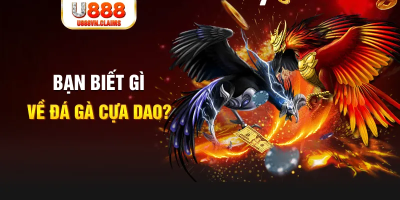 ji88 xổ số kiến thiết