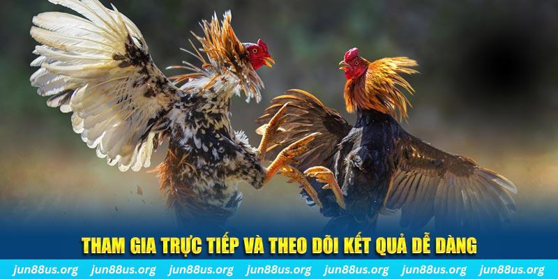 ji88 đá gà trực tiếp bình luận viên