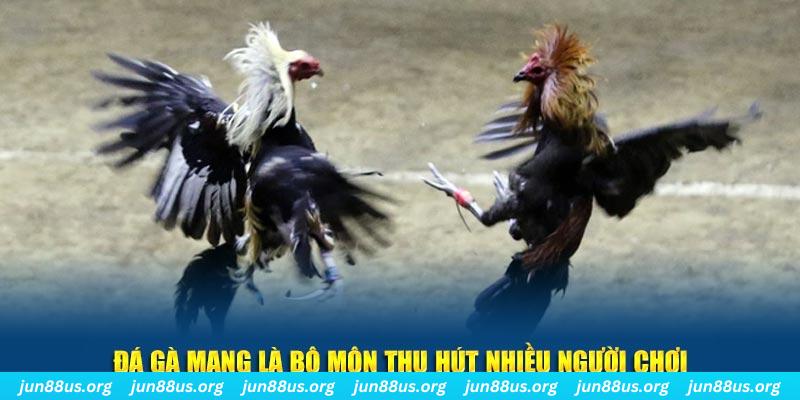 ji88 xổ số cà mau
