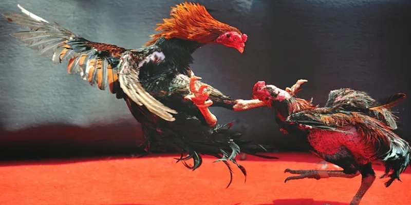 ji88 BG Bắn cá