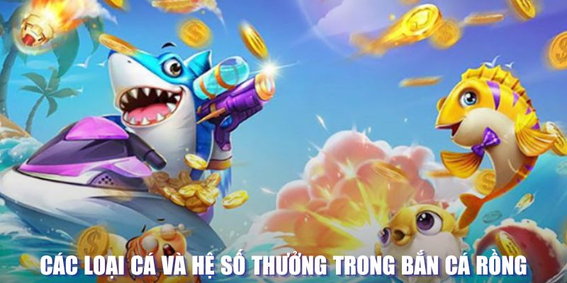 loi game dot kich ket noi may chu that bai