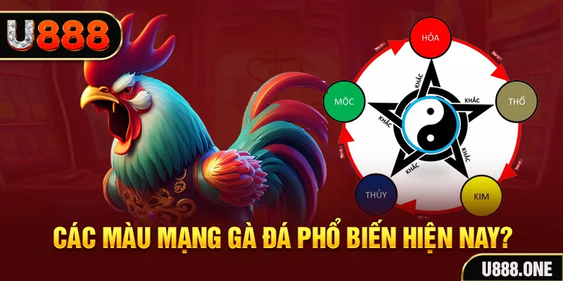 ji88 đăng nhập mậu binh