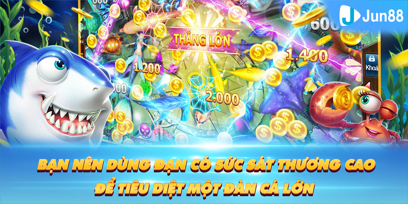 ji88 Tung Đồng Xu