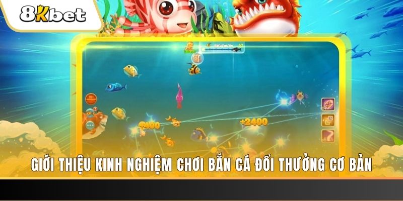 ji88 xổ số miền bắc thứ năm hàng tuần