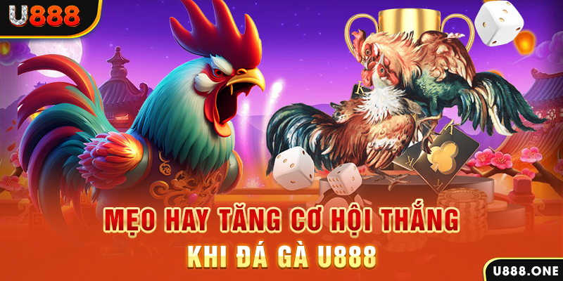 ji88 trực tiếp gà chọi c1