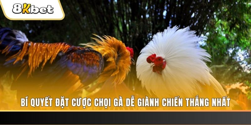 ji88 Tài Xỉu 2