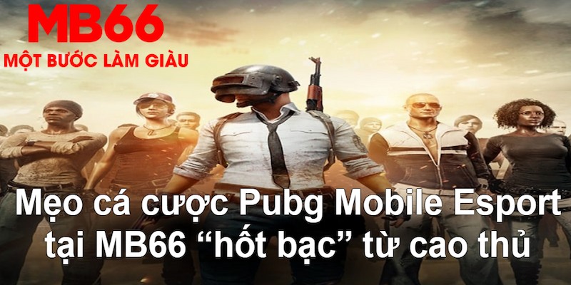 ji88 gà chọi mộc hóa