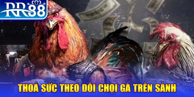 ji88 đá gà 88.com